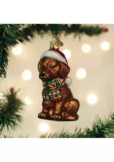 Best deal 🥰 Old World 🎄 Christmas Holiday Chocolate Labrador Puppy Glass Blown Ornaments for 🎄 Christmas Tree 🤩 7 Best deal 🥰 Old World 🎄 Christmas Holiday Chocolate Labrador Puppy Glass Blown Ornaments for 🎄 Christmas Tree 🤩 - Image 5