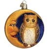 Best reviews of ✨ Old World 🎄 Christmas Glass Blown Ornament (#26064) Owl in Moon, 3.75" ⭐