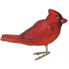 Wholesale 👏 Old World 🎄 Christmas Bright Red Cardinal Glass Blown Ornament 🛒 -Old World Christmas Shop Belk 646