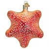 Best Pirce ✔️ Old World ❄ Christmas Hanging Glass Tree Ornament, Red Starfish 🛒 -Old World Christmas Shop Belk 686
