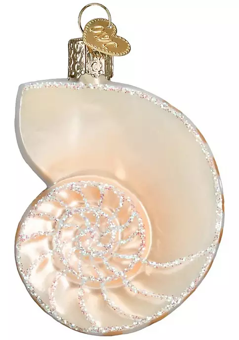 Cheap ๐ฅฐ Old World ๐ Christmas 12150 Glass Blown Nautilus Shell Ornament ๐ 4 Cheap ๐ฅฐ Old World ๐ Christmas 12150 Glass Blown Nautilus Shell Ornament ๐ - Image 2