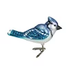 Flash Sale 🥰 Old World ❄ Christmas Bird ⌚ Watcher Collection Glass Ornaments for Tree, Bright Blue Jay ⌛ -Old World Christmas Shop Belk 931